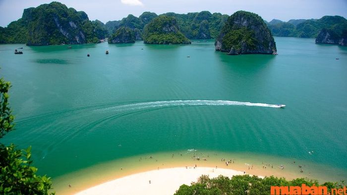 Giới thiệu sơ lược về Quảng Ninh