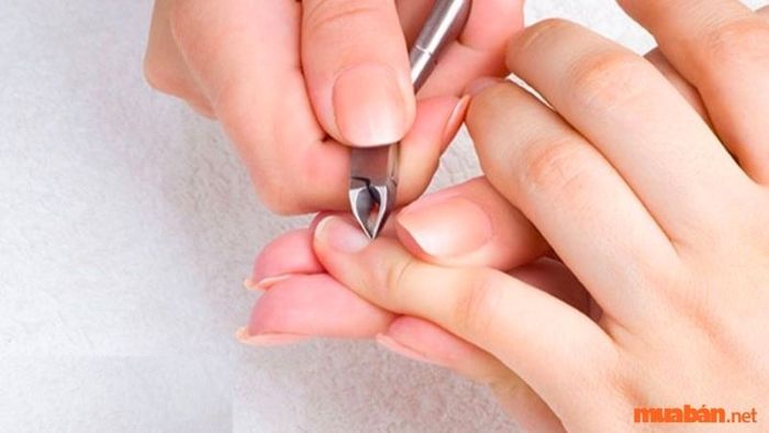 Tỉa móng cho gọn gàng và đẹp mắt