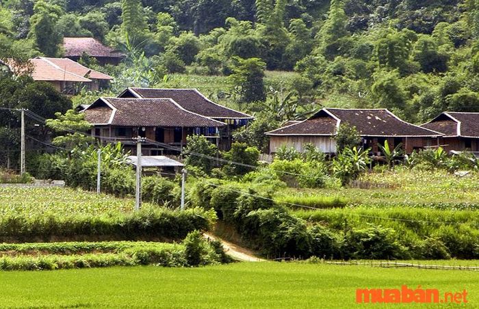 Kinh nghiệm du lịch Lạng Sơn - Khám phá Khu du lịch sinh thái cộng đồng Hữu Liên