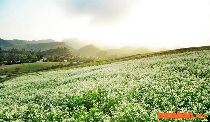 Nên tránh đến Điện Biên vào mùa mưa để có trải nghiệm tốt hơn.