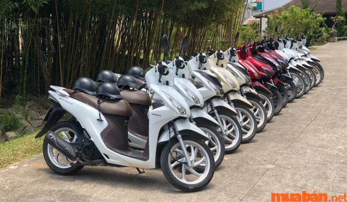 Cửa hàng Xị Tứ chuyên cho thuê các dòng xe cao cấp trên thị trường.
