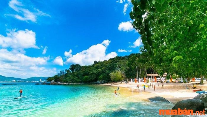 Bãi biển Patong