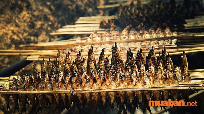 Cá nướng sông Đà - hương vị miền núi