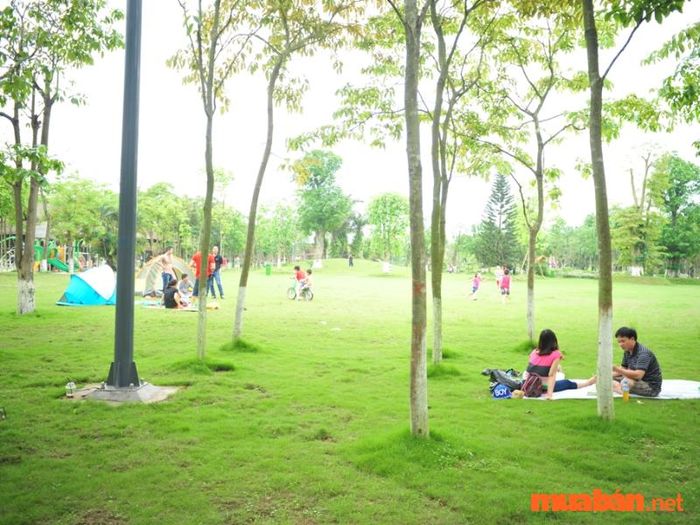 Ecopark Hưng Yên có gì thú vị? - Công viên mùa Hạ là địa điểm lý tưởng để cắm trại