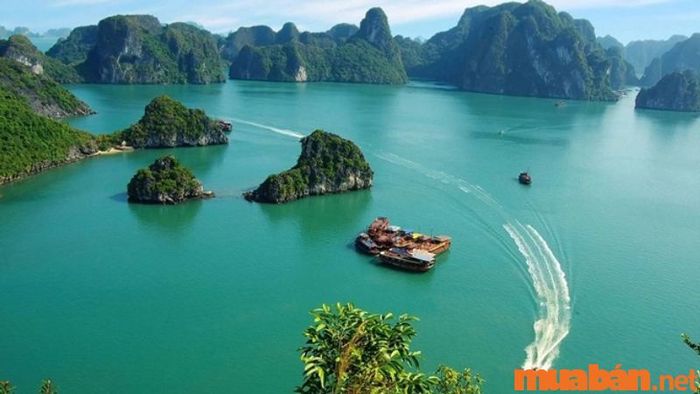 Hạ Long có gì thú vị? Vịnh Bái Tử Long