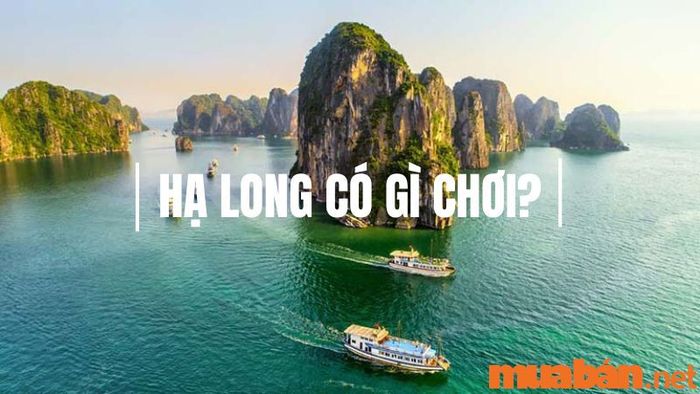 Hạ Long có những hoạt động gì thú vị? 17+ điểm đến không thể bỏ qua tại Hạ Long