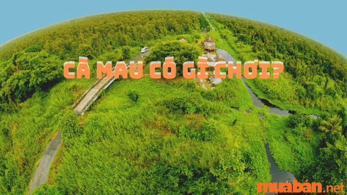 Cà Mau có gì thú vị - 13 trải nghiệm bạn không nên bỏ lỡ.