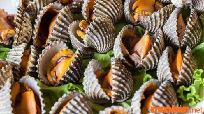 Sò huyết nướng nguyên con