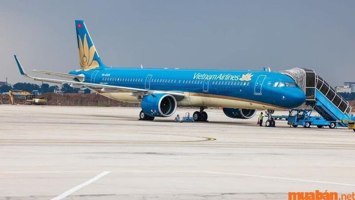 Kinh nghiệm du lịch tại Cửa Lò