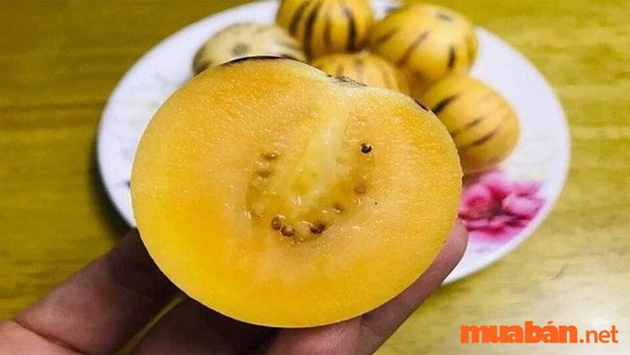 Sâm sữa - Đặc sản của Vĩnh Phúc