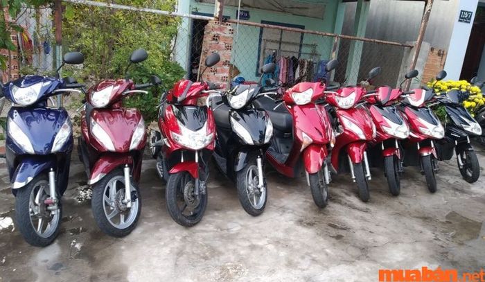 Dịch vụ cho thuê xe máy tại cửa hàng Anh Cần rất phong phú và đa dạng.