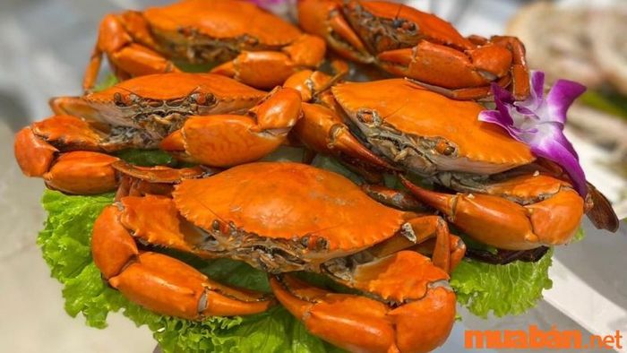 Cua Cà Mau nổi tiếng và có thể chế biến thành nhiều món ngon hấp dẫn.