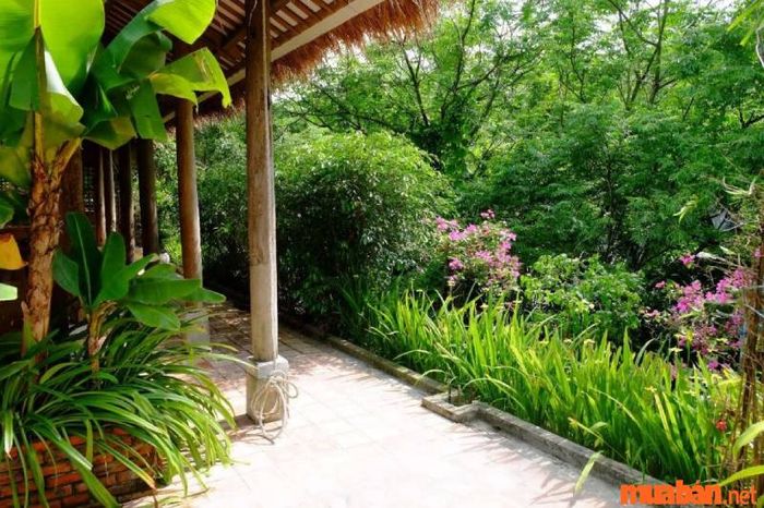 Thái Bình có gì thú vị? Làng vườn Bách Thuận - biểu tượng của làng quê vùng đồng bằng sông Hồng