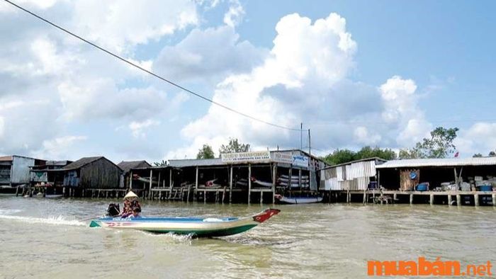 Ghe, xuồng là phương tiện chính để di chuyển đến các điểm tham quan và khám phá.