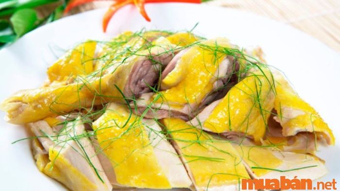 Hạ Long có gì thú vị? Hạ Long có món gì ngon? Gà đồi Tiên Yên
