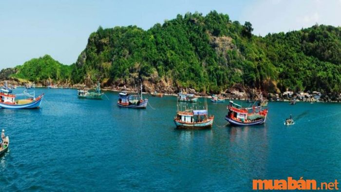 Thời điểm lý tưởng để du lịch và khám phá Cà Mau là vào mùa khô.