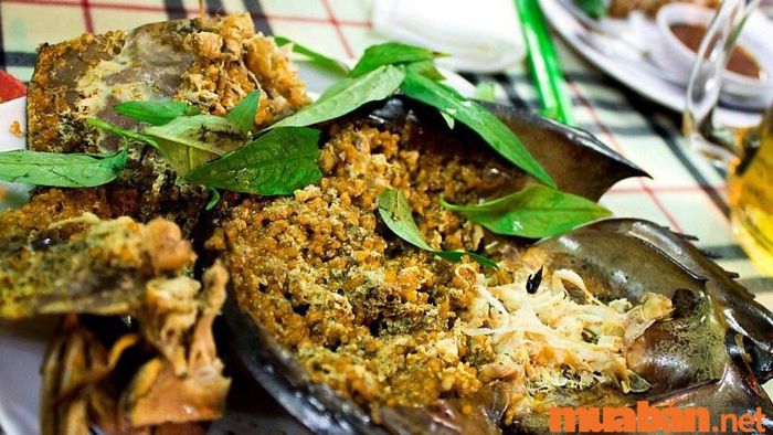 Hạ Long có gì thú vị? Hạ Long có món gì ngon? Sam biển