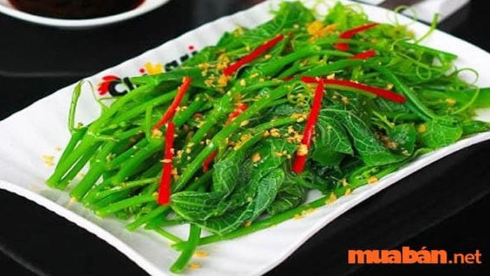 Su su Tam Đảo - Đặc sản của Vĩnh Phúc