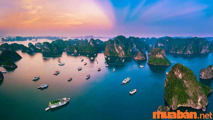 Hạ Long có những hoạt động gì thú vị? Khi nào thì du lịch Hạ Long đẹp nhất?