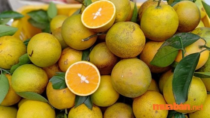 Cam Cao Phong - đặc sản nổi bật