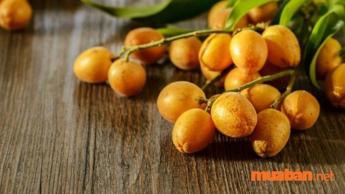 Quất hồng bì Kỳ Sơn - một đặc sản nổi tiếng