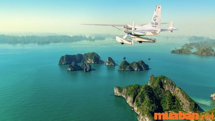 Hạ Long có những hoạt động gì thú vị? Cách đến Hạ Long như thế nào?
