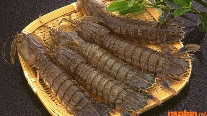 Kinh nghiệm du lịch Cửa Lò