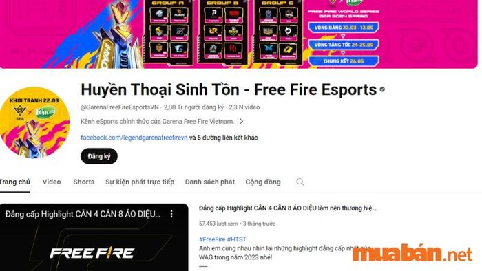 Nhận Code Free Fire qua LiveStream trên Youtube