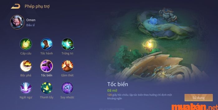Phép bổ trợ và phù hiệu