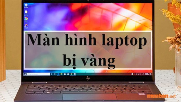 Màn hình laptop bị ố vàng là hiện tượng mà màn hình đang chuyển từ tông màu bình thường sang màu vàng tối.