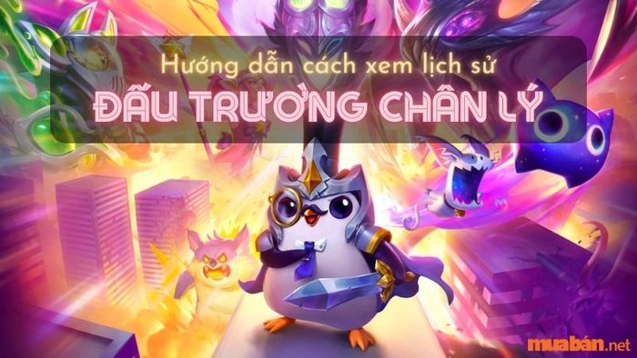 Hướng dẫn cách kiểm tra lịch sử Đấu Trường Chân Lý