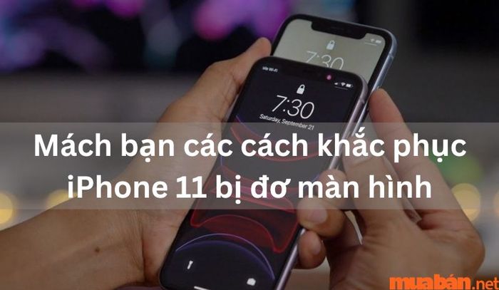 Các nguyên nhân và giải pháp cho tình trạng iPhone 11 bị treo màn hình