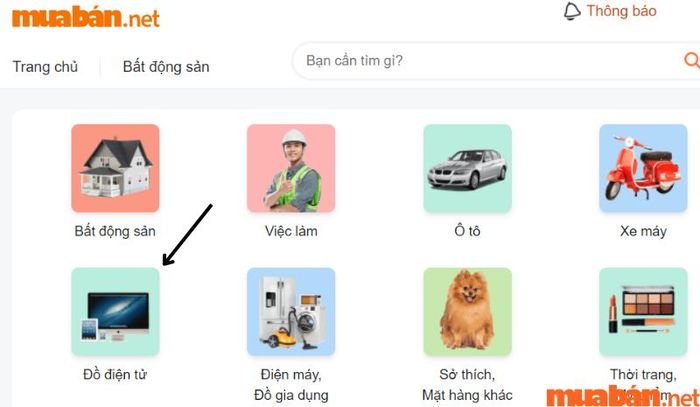 Truy cập vào trang chính của Mytour