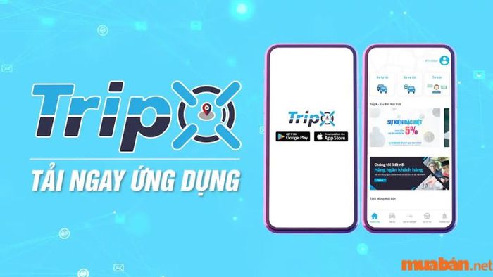 TripX là ứng dụng cho thuê xe ô tô tự lái