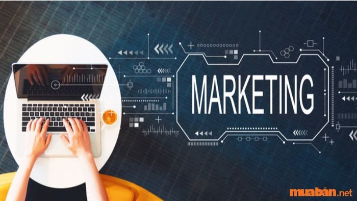 Ứng dụng của Google Bard trong lĩnh vực Marketing và PR là gì?