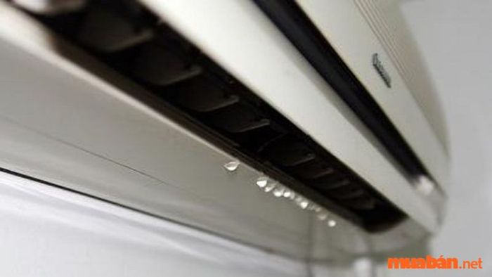 Máy lạnh bị rò rỉ nước