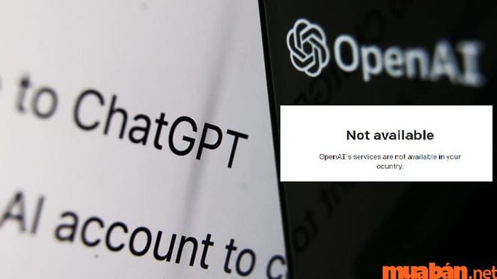 Địa chỉ IP Việt Nam không được hỗ trợ cho việc đăng ký và sử dụng tài khoản .