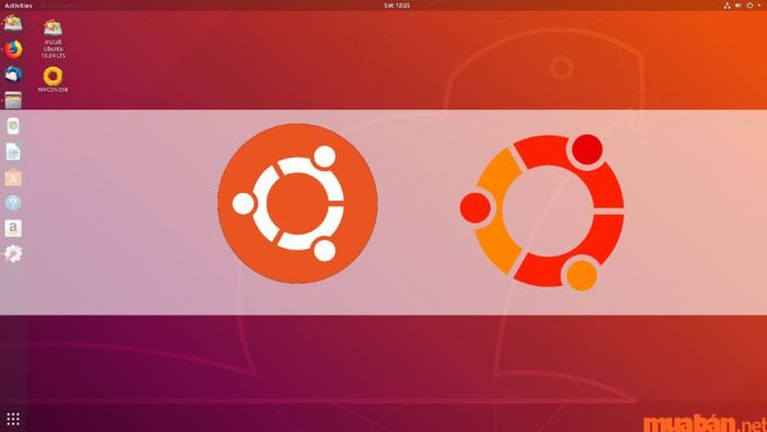 Ubuntu là hệ điều hành gì và sự khác biệt giữa Ubuntu và Windows là gì?