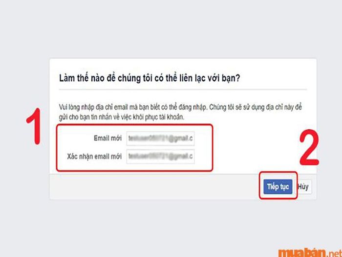 Thêm số điện thoại và địa chỉ email mới