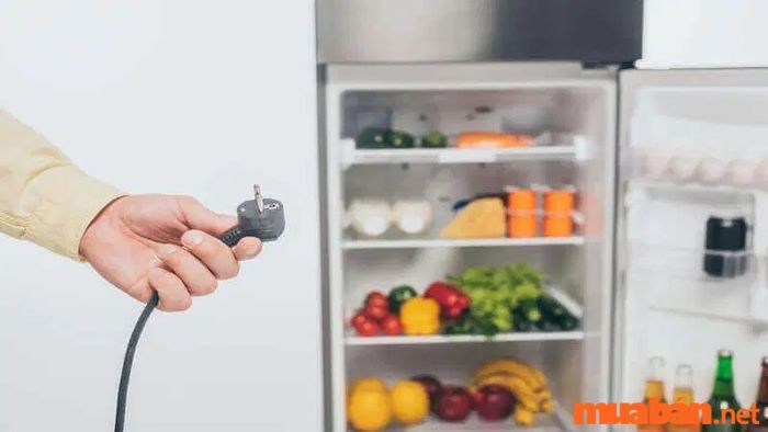 Những điều cần chú ý khi mua tủ lạnh giá rẻ dưới 3 triệu