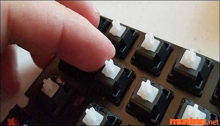 Kiểm tra chất lượng switch sau khi thay thế