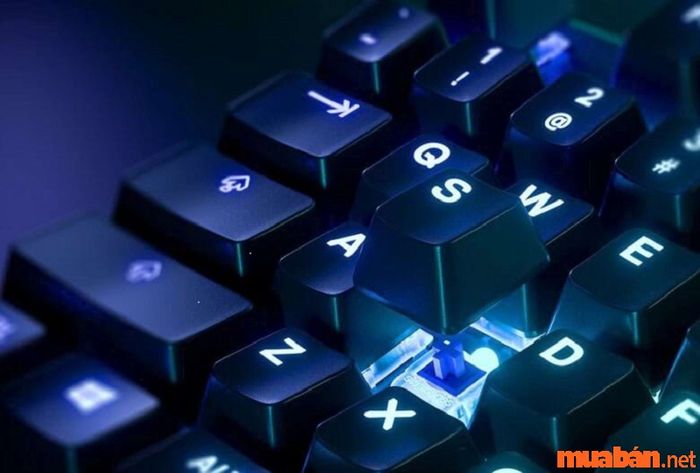Công tắc bàn phím cơ