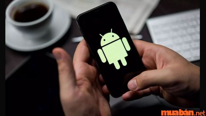 Cách khôi phục cài đặt gốc cho điện thoại Android