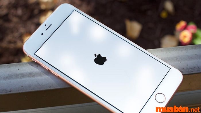 Lỗi treo logo trên điện thoại