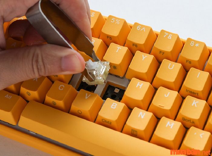 Tháo switch cũ khỏi bàn phím