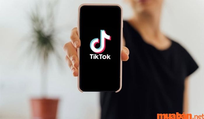 Hiện nay, TikTok đang rất được nhiều người sử dụng.