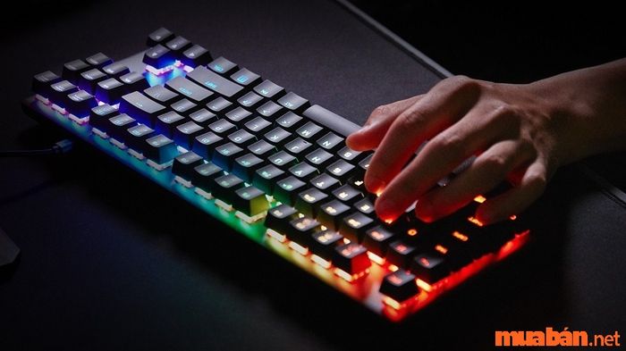 Lưu ý để sử dụng switch bền lâu