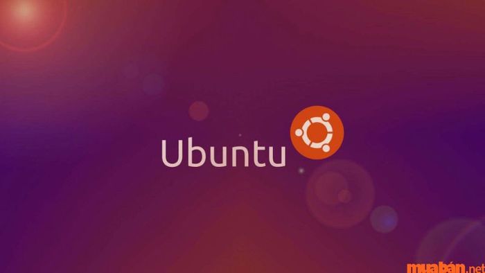 Ubuntu là hệ điều hành nào và có sự khác biệt gì về giao diện?