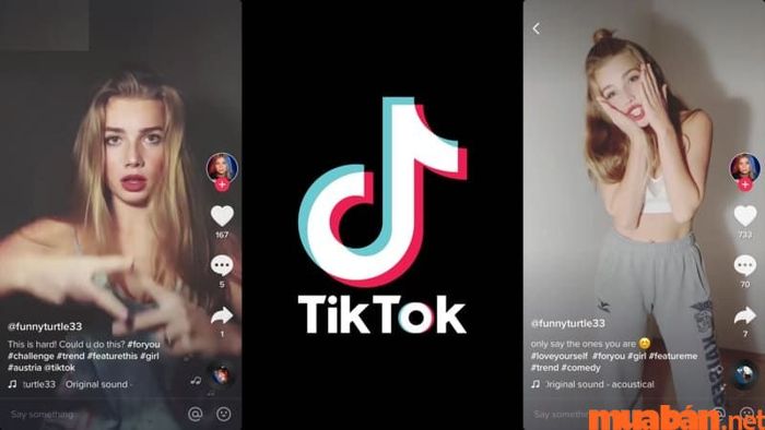 Tài khoản cá nhân trên TikTok dễ sử dụng hơn và có chi phí quảng cáo thấp hơn so với tài khoản doanh nghiệp.