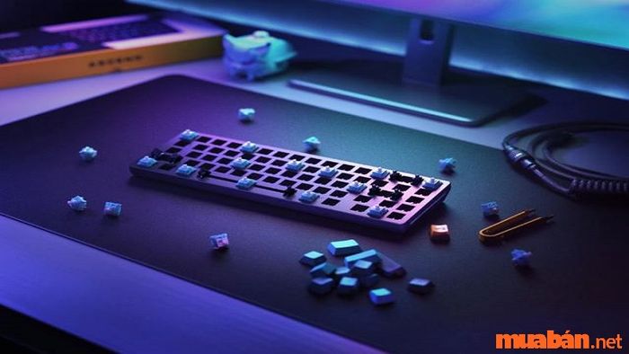 Hướng dẫn thay switch bàn phím cơ tại nhà thật đơn giản